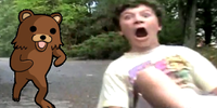 Stare_kid_bear.PNG