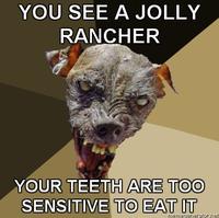 Cynical Dog