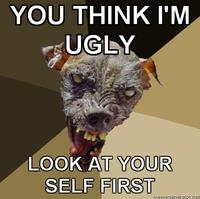 Cynical Dog