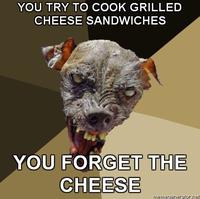 Cynical Dog