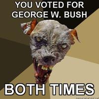 Cynical Dog