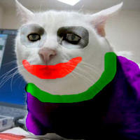 Serious Cat