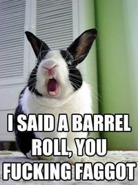 Do A Barrel Roll