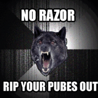 Insanity Wolf