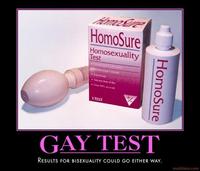 Gay Test