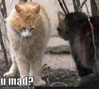 U MAD?