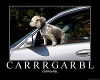 WHARRGARBL / Sprinkler Dog