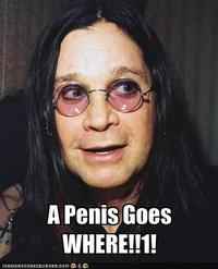 Penis Goes Where/Cock goes where