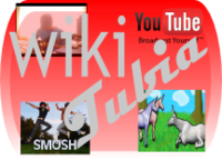Wikipedia
