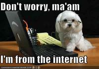 Don't Worry, I'm From the Internet