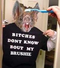 Brushie Brushie Brushie