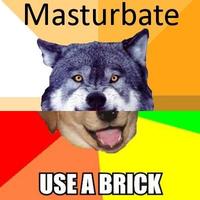 Combo Dog