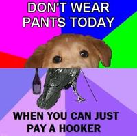 Combo Dog