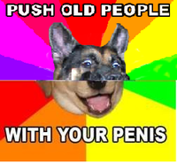 Combo Dog