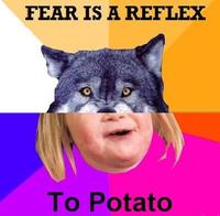 Combo Dog