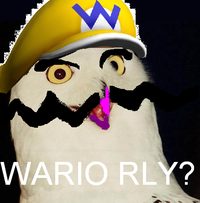 O RLY?