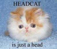 LOLcats