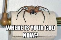 Where is Your God Now?