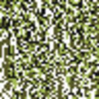 pokemon glitches