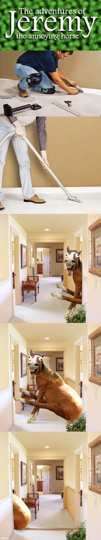 Jeremy the Annoying Horse