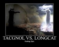 LOLcats