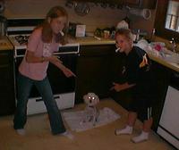 Poodle_ohio