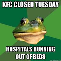 Foul Bachelor Frog