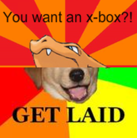Combo Dog
