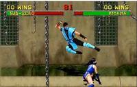 Brazilian Sub-Zero