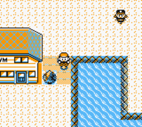 pokemon glitches