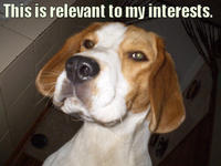 This is Relevant to My Interest