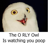 X is Watching You Y