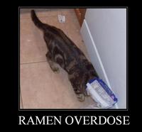 LOLcats