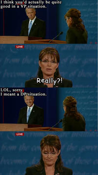 Biden / Palin Debate 4pane