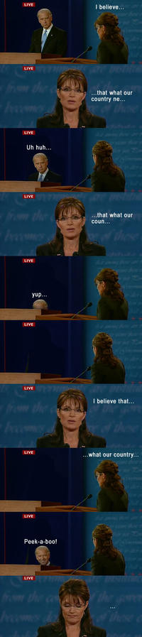 Biden / Palin Debate 4pane