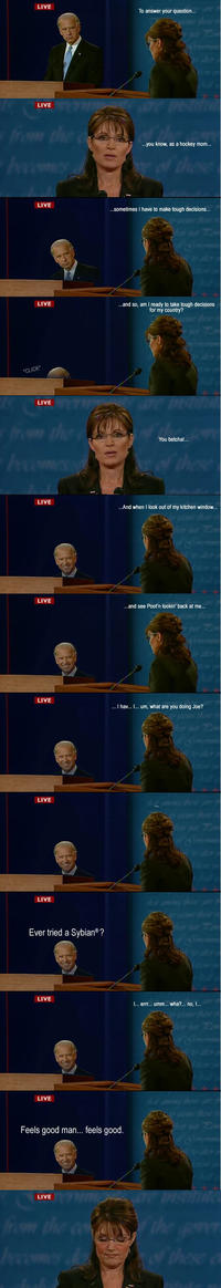 Biden / Palin Debate 4pane