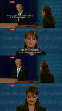 Biden / Palin Debate 4pane