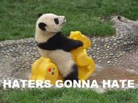 Haters Gonna Hate