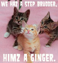 LOLcats