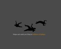 Ninjas Can't Catch You If...