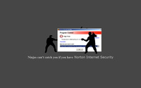 Ninjas Can't Catch You If...