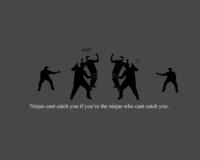 Ninjas Can't Catch You If...