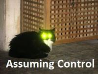 Assuming Control