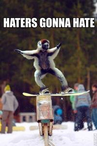 Haters Gonna Hate