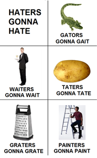 Haters Gonna Hate