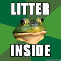 Foul Bachelor Frog