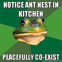 Foul Bachelor Frog