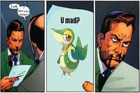 Smugleaf / Snivy