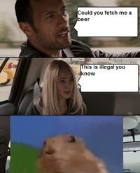 Dramatic Chipmunk / Drama Prairie Dog