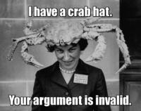 Your Argument is Invalid